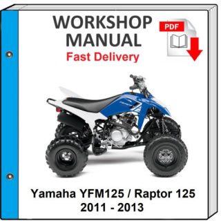 Yamaha Yfm125 Raptor 125 2011 2012 2013 Service Repair Shop Manual