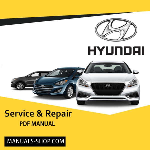 1993 Hyundai Sonata Service & Repair Manual Software