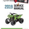 Textron Arctic Cat 2019 Alterra 90 Service Manual