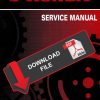 Honda 2019 TRX 420 FM1 FourTrax Rancher Service Manual