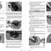 Arctic Cat 2015 XF 8000 Ltd Service Manual - Image 3