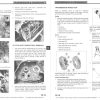 Victory 2011 Hammer Service Manual - Image 3