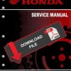 Honda 2010 TRX 420 FGA Service Manual