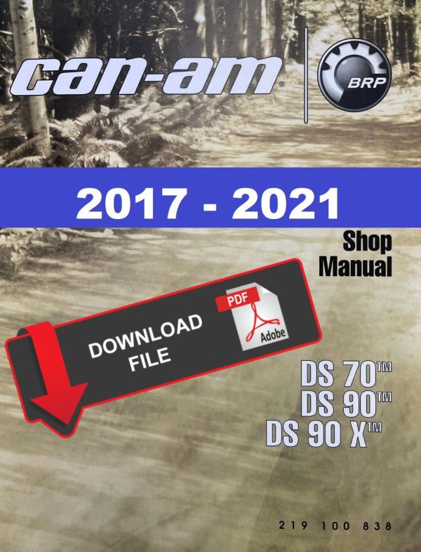 Can-Am 2018 DS 90 Service Manual