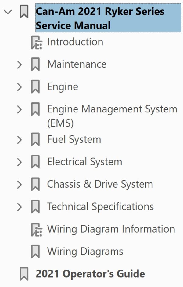 Can-Am 2021 Ryker 900 ACE Rally Edition Service Manual - Image 4