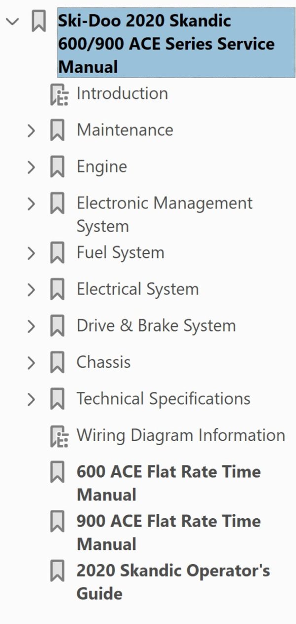 Ski-Doo 2020 Skandic WT 900 ACE Service Manual - Image 4