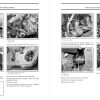 Ski-Doo 2007 MX Z Trail 600 Service Manual - Image 2
