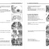 Suzuki 2018 RM-Z 250 Service Manual - Image 2