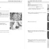 Kawasaki 1993 KLX250R Service Manual - Image 2