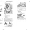 Yamaha 2023 Waverunner FX Cruiser SVHO Service Manual - Image 3