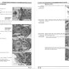 Honda 2023 CRF150RB Service Manual - Image 3