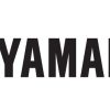 Yamaha 2022 YFZ450R Service Manual - Image 5