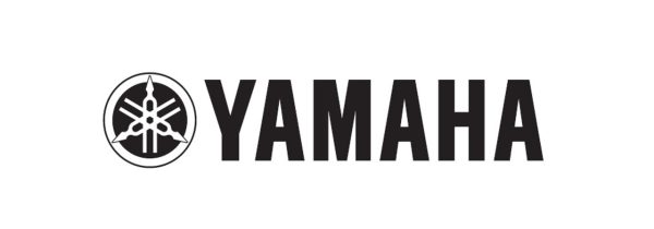 Yamaha 2022 YFZ450R Service Manual - Image 5